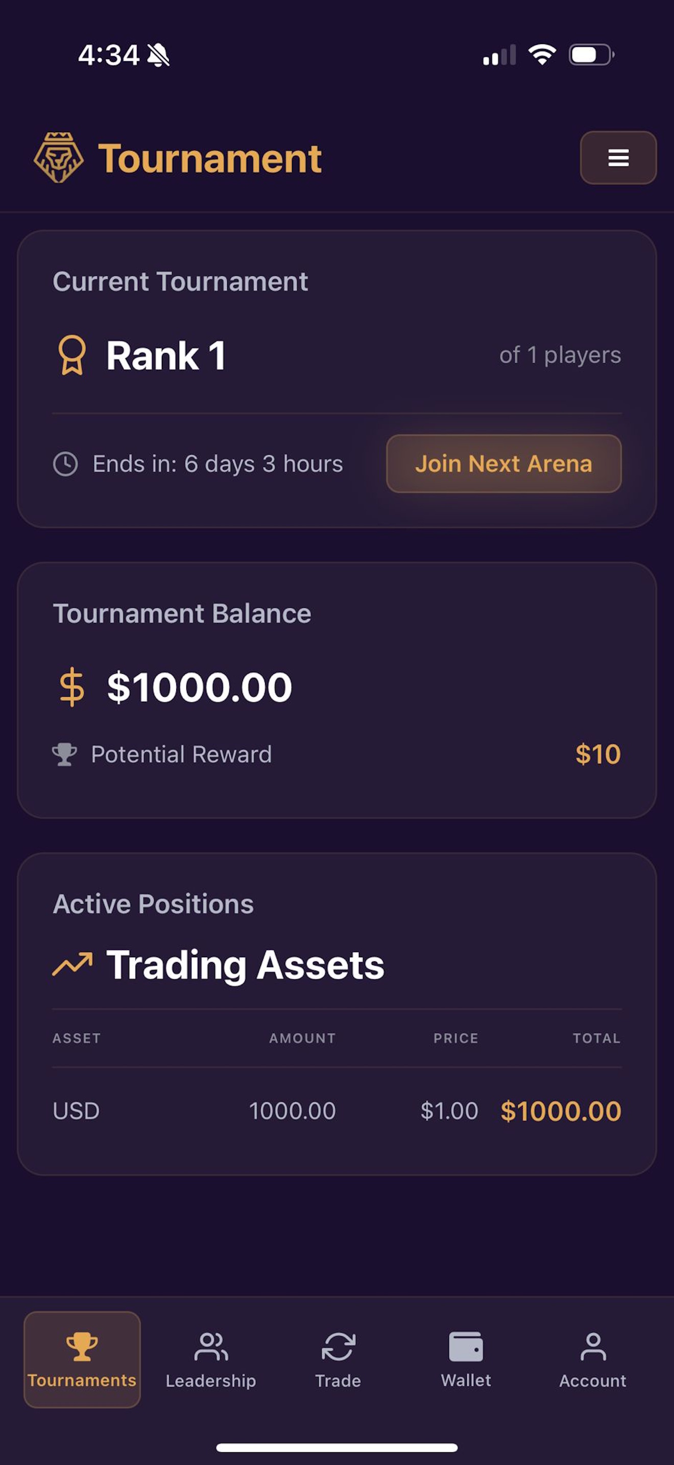 Tournament View